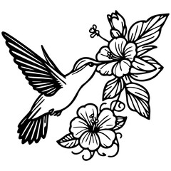 Hummingbird Sketch Drawing.