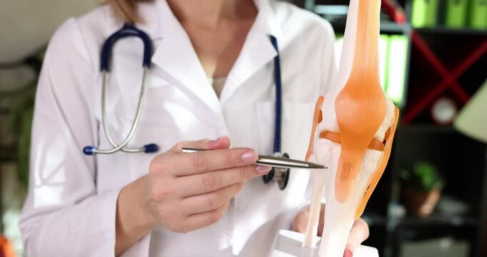 Doctor in white coat explains structure of knee joint holding model. Woman uses pointer to indicate specific part of knee anatomy in light room