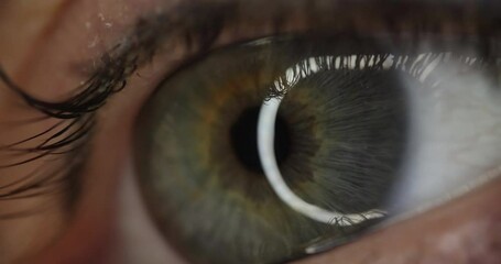 Open human eye with grey iris reflects glowing round lamp at examination. Healthy eyesight testing with medical equipment in hospital