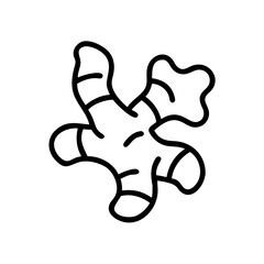 Ginger Root with Knobs Icon Design