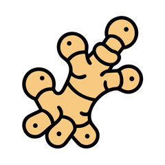 Ginger Root with Knobs Icon Design