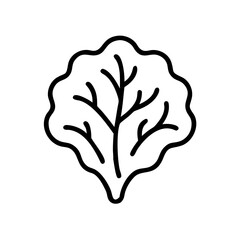 Lettuce or Leafy Salad Icon Design