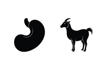 Isolated Black Silhouette Goat Standing Next To A Human Stomach Organ On White