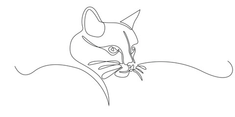 continuous line drawing of a cat's head.vector illustration of a line art drawing of a cat's face.isolated on white background