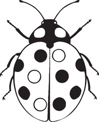 Black and White Ladybug Illustration Cute Insect Vector Graphic