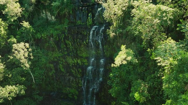 Cinematic drone shot flying toward Salto Cristal waterfall in Paraguay. Surrounded by dense forest, the scene unveils a natural wonder deep in the jungle.