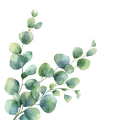 Obraz premium A watercolor painting of eucalyptus branches with round leaves in shades of green and blue on black background
