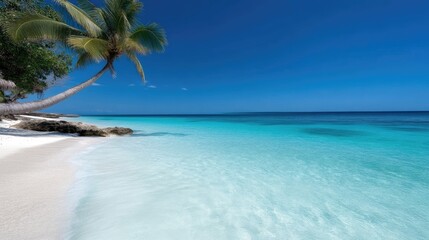 Tropical beach paradise