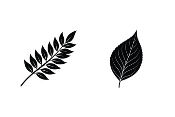 Two Decorative Leaf Silhouettes Isolated On White Background Black And White Nature Design