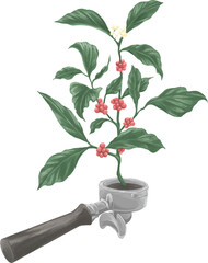 Colored drawing painting of portafilter with coffee plant