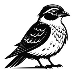 Obraz premium Detailed Black and White Illustration of a Bird