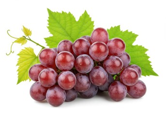 Fototapeta premium A bunch of ripe red globe grapes with green leaves on a white background, a healthy and delicious snack