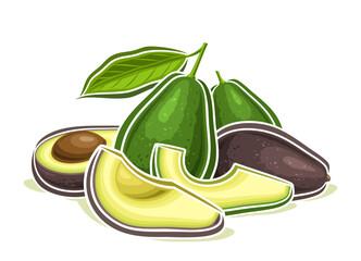 Vector logo for green and brown Avocado
