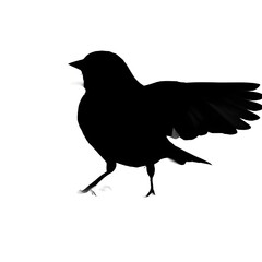 A silhouette of a sparrow