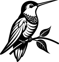 vector illustration of a bird