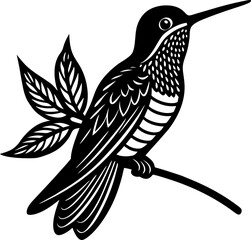 bird on white background