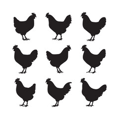 chicken silhouettes
