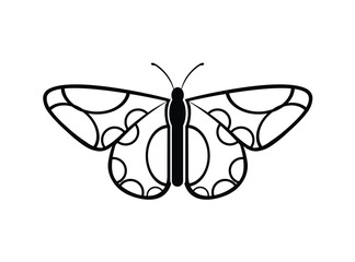butterfly vector illustration