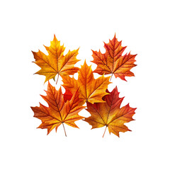 Obraz premium Vibrant Autumn Maple Leaves: Fall Foliage Background Image