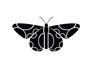 butterfly vector illustration