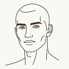 bald man line art vector image