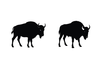 Two Black Buffalo Silhouettes On A White Background Plain Simple Look