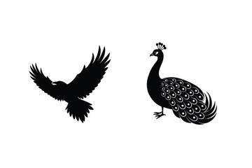 Elegant Black Silhouettes Of A Flying Eagle And A Standing Peacock On White
