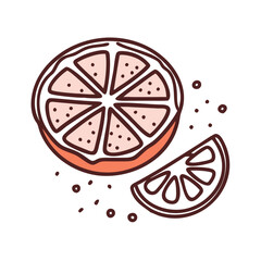 Hand-Drawn Orange Fruit Slice with Seeds Illustration