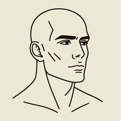 bald man line art vector image
