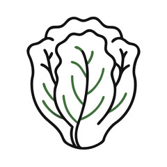 Minimalist Illustration of Cabbage Head on Black Background