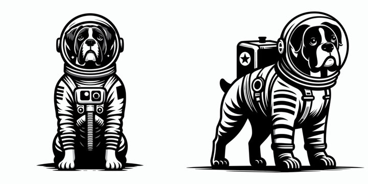 Boxer Dog in astronaut costume. Funny Animal Vector Clip art. Canine cosmonaut breed galactic outfit space travel.