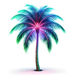palm tree silhouette