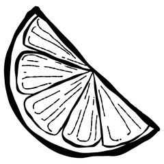 Hand drawn lime sketch illustration with artistic and natural design elements