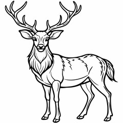 Fototapeta premium Black and White Line Art Illustration of a Deer with Antlers