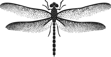 Black and White Dragonfly Illustration with Detailed Stippling and Engraved Aesthetic  Minimalist Insect Anatomy Drawing in a Realistic and Artistic Vector Style