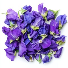 Fresh and dried butterfly pea flower extract, isolated on white background, natural hair dye"