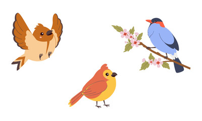 Set of three cute birds, including a flying bird, a perched one on a branch with blossoms, and a standing bird. Great for spring, kids' projects, and nature themes.