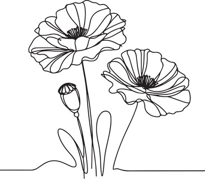 recommend clip art: Poppy flowers in continuous line art drawing style