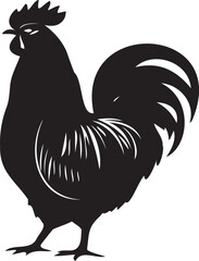 Big Rooster isolated on white background