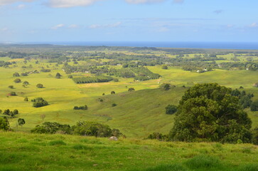 Fototapeta premium 大草原