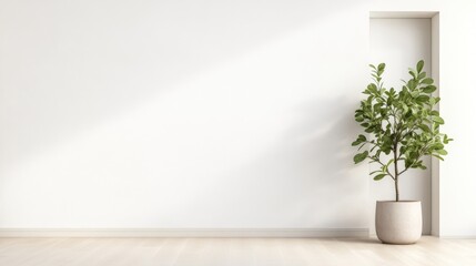 Minimalist interior design with a single plant.  A bright, empty room with a neutral color palette and a single plant in a simple pot.