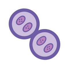 Cell Division, Mitosis, Meiosis, Biological Process Illustration Isolated