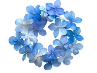 Vibrant Blue Flag Flower Against Green Leaves