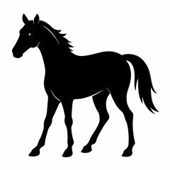 Black Horse Silhouette Vector