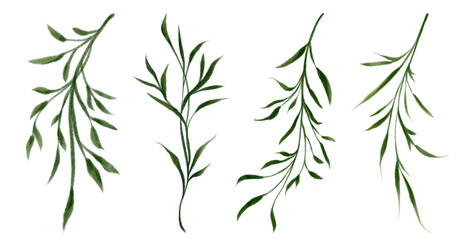 bamboo leaves Hand drawn illustration on a transparent background