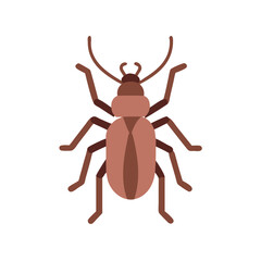 Illustration of Brown Beetle Insect Isolated on Black Background