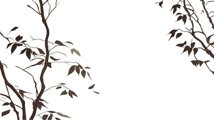 Naklejka premium Blurry Leaf Shadows Dance On White Wall