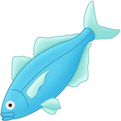 Obraz premium 바다물고기 (sea fish / saltwater fish)