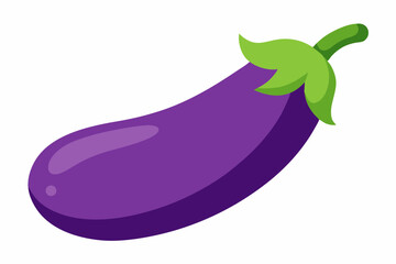 eggplant vector illustration white background