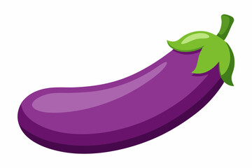 eggplant vector illustration white background
